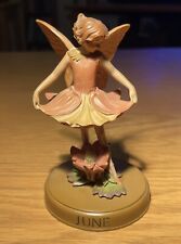 Flower fairies june for sale  CHESTERFIELD