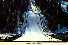 Squaw valley california gebraucht kaufen  Wöllstein