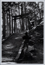 Japon alpes japonaises d'occasion  Pagny-sur-Moselle