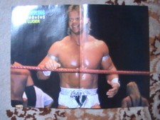 Poster wrestling wwf gebraucht kaufen  Niesky