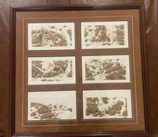 Bev doolittle hide for sale  Fayetteville