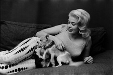 Jayne mansfield foto gebraucht kaufen  Brilon