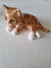 Winstanley ginger cat for sale  NOTTINGHAM