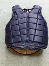 Racesafe rs2010 body for sale  CALDICOT