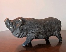 Pot bellied pig for sale  WESTBURY