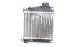 Radiador refrigerante - Honda NHX LEAD 110 (2008 - 2010), usado comprar usado  Enviando para Brazil