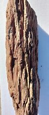 Petrified wood log for sale  Balch Springs