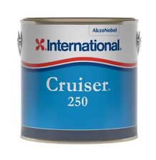 International cruiser 250 usato  Cavarzere