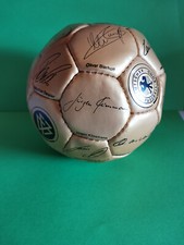 Dfb fußball weltmeisterschaft gebraucht kaufen  Hatten