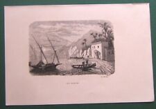 Gravure xixe palmiers. d'occasion  Martigues