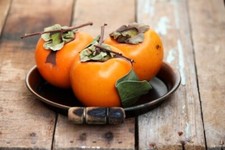 One persimmon live for sale  Kingsburg