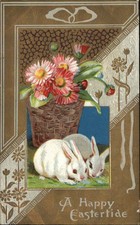 Easter bunny rabbits for sale  USA