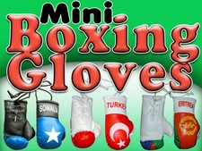 Mini boxing gloves for sale  Deltona