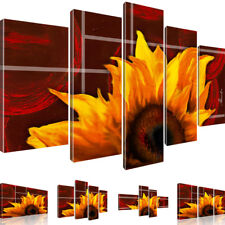 Wandbilder sonnenblume blume gebraucht kaufen  Deutschland