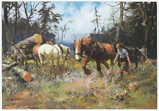 Shire horses hauling for sale  BARNSLEY