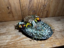 raccoon skull for sale raccoon skull for sale Monterey