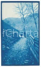 1905 valtellina anziane usato  Milano