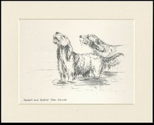 Otterhound kendal kennels for sale Otterhound kendal kennels for sale  COLEFORD