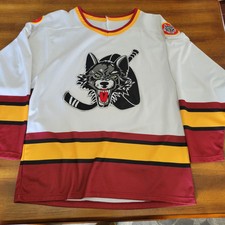 Chicago wolves hockey for sale  Colfax