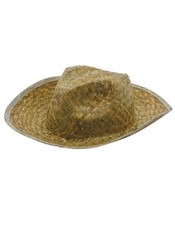 Cowboy strohhut 100 gebraucht kaufen  Nümbrecht