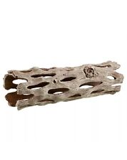 Large cholla wood for sale  CREDITON