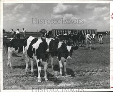 1959 press photo for sale  Memphis