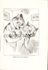 Louis wain book for sale  PRESTON