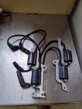 Bobine accensione aprilia usato  Zane