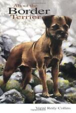Border terrier for sale  ROSSENDALE
