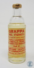 Miniature mignon grappa usato  Romano di Lombardia