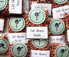 Cat grass seeds for sale  LEEDS