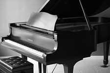 Yamaha grand piano for sale  Highwood