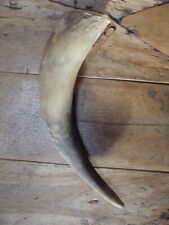 Ancienne corne boire d'occasion  Eaubonne