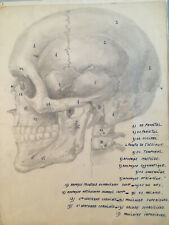 Superbe cahier écorché d'occasion  Toulouse-