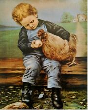 Boy chicken full for sale  Rochester