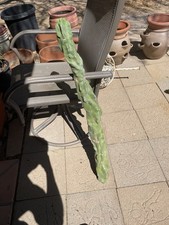 3ft totem pole for sale  Wickenburg