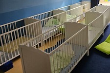 Ikea baby bett gebraucht kaufen  Köln