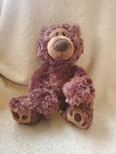 Chocolate brown teddy for sale  Oklahoma City