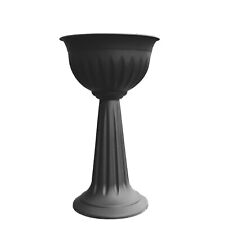 Black urn plant for sale  GLASGOW