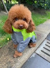 Four legged large for sale  BIRMINGHAM