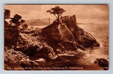 Cartão postal vintage Monterey CO CA-California Midway Point 17 Mile Drive comprar usado  Enviando para Brazil