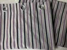 Stunning plum striped for sale  AMMANFORD