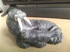 Walrus seal cub for sale  LISKEARD