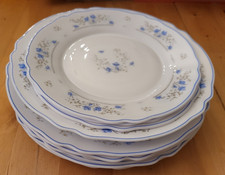 Arcopal romantique geschirr gebraucht kaufen Arcopal romantique geschirr gebraucht kaufen  Taucha