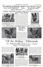 British elkhound society for sale  COLEFORD