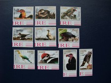 Vögel zaire . gebraucht kaufen  Bohmte