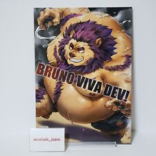 Bruno viva dev d'occasion  Expédié en France