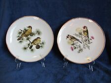 Winterling schwarzenbach bird for sale  Cuyahoga Falls
