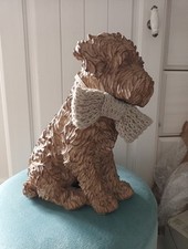 Next charlie cockapoo for sale  GLASGOW