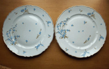 Haviland montméry dinner for sale  Overland Park